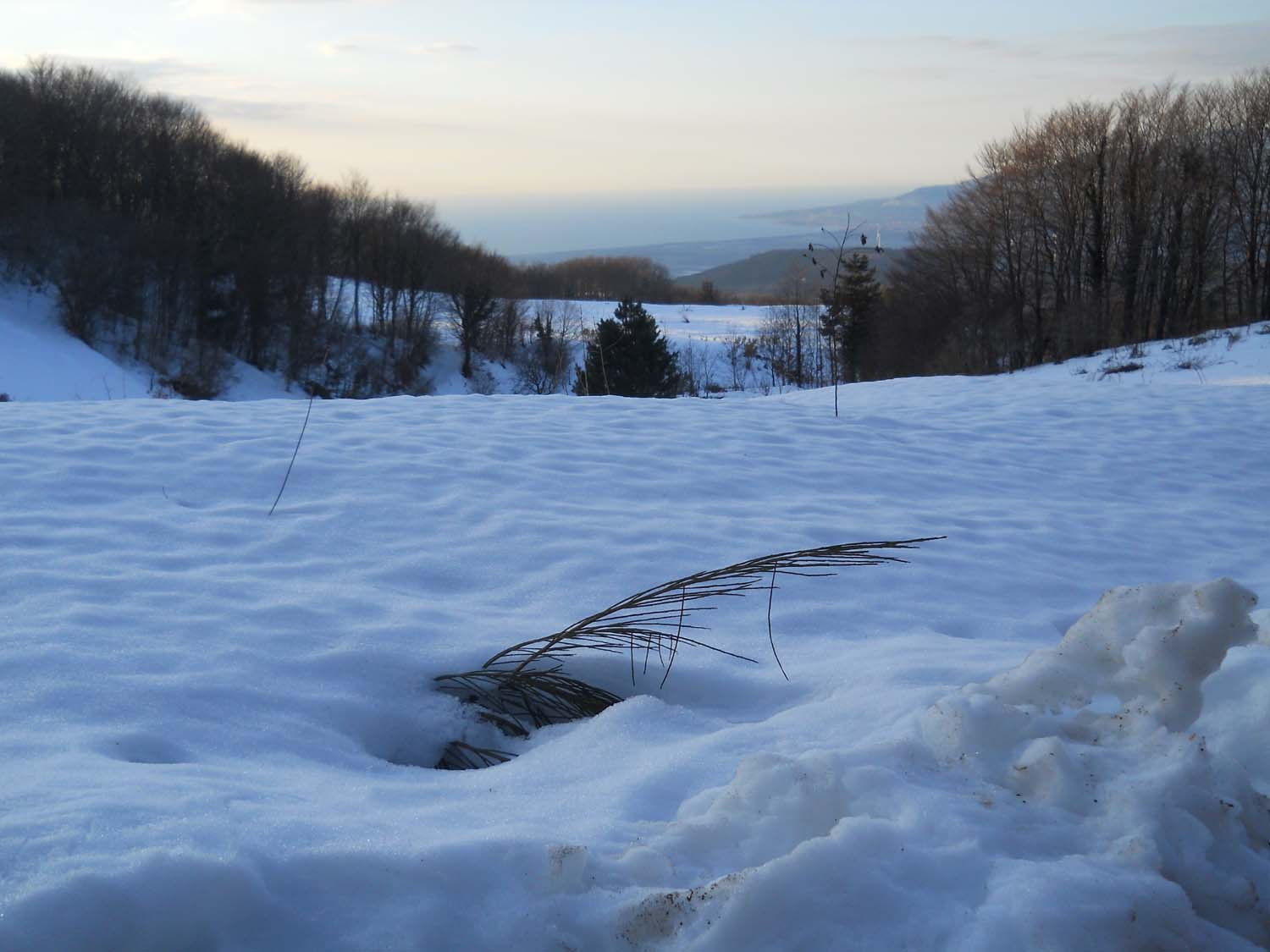 neve 083r.jpg - 116.05 Kb